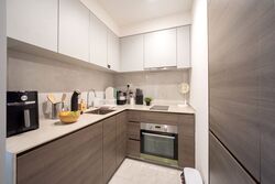 The Florence Residences (D19), Apartment #508272461